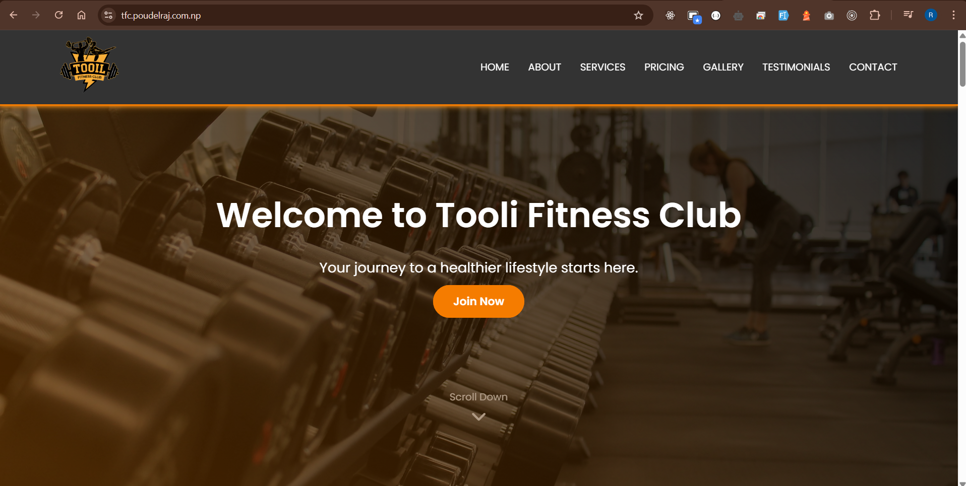 TFC Gym: Fitness Website screenshot